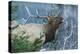 Rocky Mountain Bull Elk Bugling-Ken Archer-Premier Image Canvas