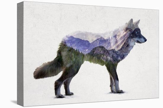 Rocky Mountain Grey Wolf-Davies Babies-Stretched Canvas