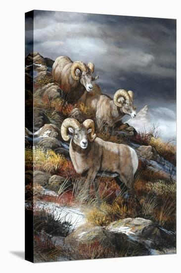 Rocky Mountain Kings-Trevor V. Swanson-Premier Image Canvas