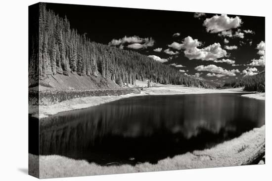 Rocky Mountain Park-George Johnson-Premier Image Canvas