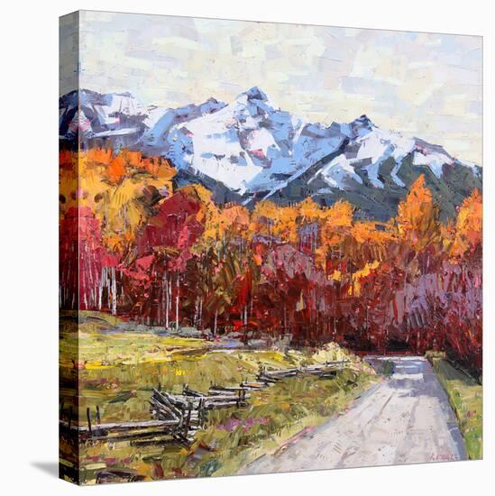 Rocky Mountain Road-Robert Moore-Stretched Canvas