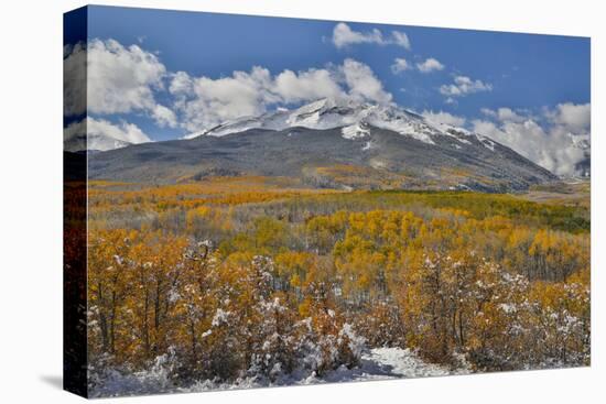 Rocky Mountains, Colorado. Fall Colors of Aspens and fresh snow Keebler Pass-Darrell Gulin-Premier Image Canvas