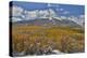 Rocky Mountains, Colorado. Fall Colors of Aspens and fresh snow Keebler Pass-Darrell Gulin-Premier Image Canvas