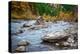 Rocky River-Michael Broom-Premier Image Canvas