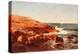Rocky Shore, 1862-William Stanley Haseltine-Premier Image Canvas