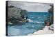 Rocky Shore, 1900-Winslow Homer-Premier Image Canvas