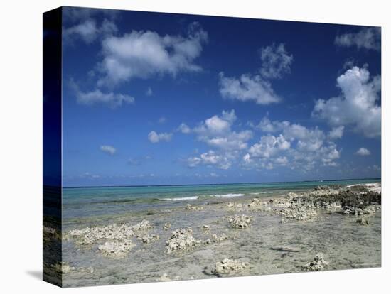 Rocky Shore, Grand Cayman, Cayman Islands, West Indies, Central America-Ruth Tomlinson-Premier Image Canvas