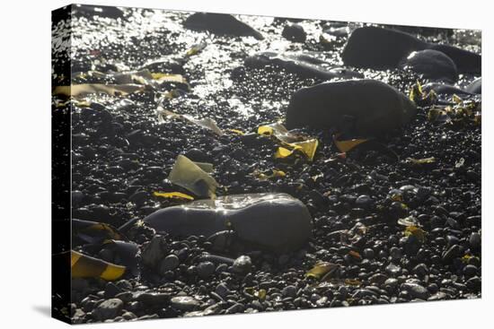 Rocky Shore IV-Rita Crane-Premier Image Canvas