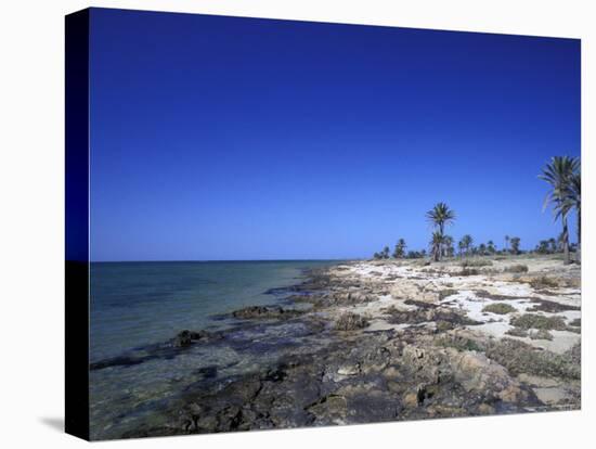 Rocky Shore of Kerkennah Islands, Tunisia-Michele Molinari-Premier Image Canvas