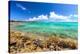 Rocky Shoreline And Crystal Clear Blue Waters In Eleuthera, The Bahamas-Erik Kruthoff-Premier Image Canvas