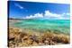 Rocky Shoreline And Crystal Clear Blue Waters In Eleuthera, The Bahamas-Erik Kruthoff-Stretched Canvas