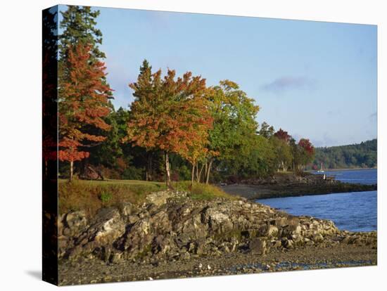 Rocky Shoreline and Trees at the Scenic Harbour, Bar Harbour, Maine, New England, USA-Amanda Hall-Premier Image Canvas