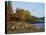 Rocky Shoreline and Trees at the Scenic Harbour, Bar Harbour, Maine, New England, USA-Amanda Hall-Premier Image Canvas