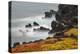 Rocky shoreline covered in Sesuvium, South Plaza Island, Galapagos Islands, Ecuador.-Adam Jones-Premier Image Canvas