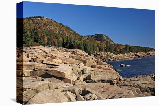 Rocky Shoreline of Acadia , Maine-George Oze-Premier Image Canvas