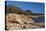 Rocky Shoreline of Acadia , Maine-George Oze-Premier Image Canvas