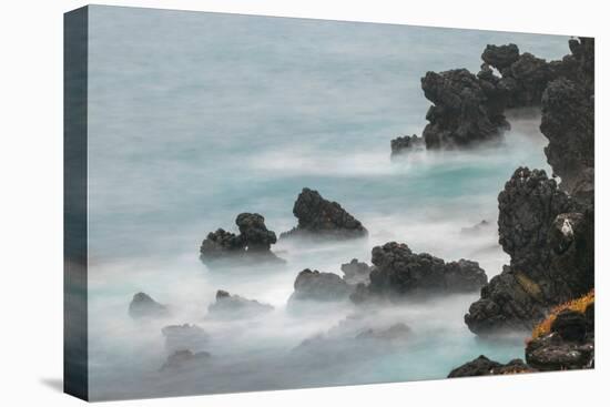 Rocky shoreline of South Plaza Island, Galapagos Islands, Ecuador.-Adam Jones-Premier Image Canvas