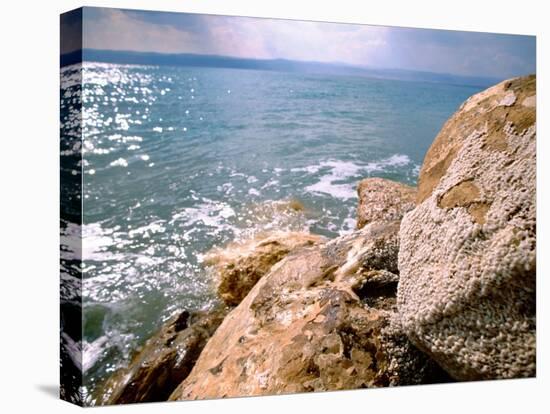 Rocky Shoreline with Salt Crystals, Dead Sea, Jordan-Cindy Miller Hopkins-Premier Image Canvas