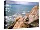 Rocky Shoreline with Salt Crystals, Dead Sea, Jordan-Cindy Miller Hopkins-Premier Image Canvas