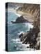 Rocky Stretch of Coastline in Big Sur, California, United States of America, North America-Donald Nausbaum-Premier Image Canvas