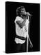 Rod Stewart-null-Premier Image Canvas