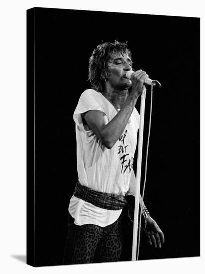 Rod Stewart-null-Premier Image Canvas