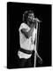 Rod Stewart-null-Premier Image Canvas