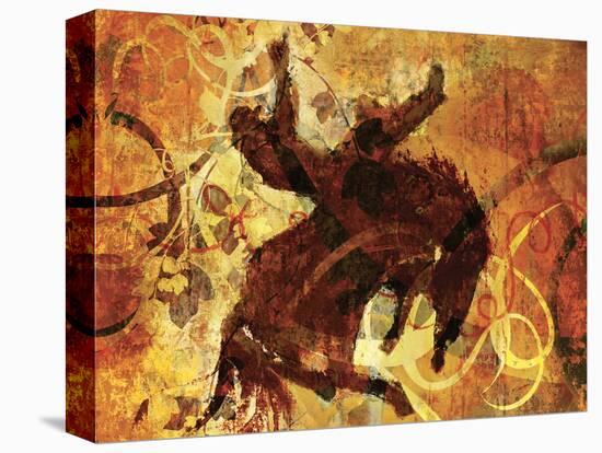 Rodeo 1-Sokol-Hohne-Stretched Canvas
