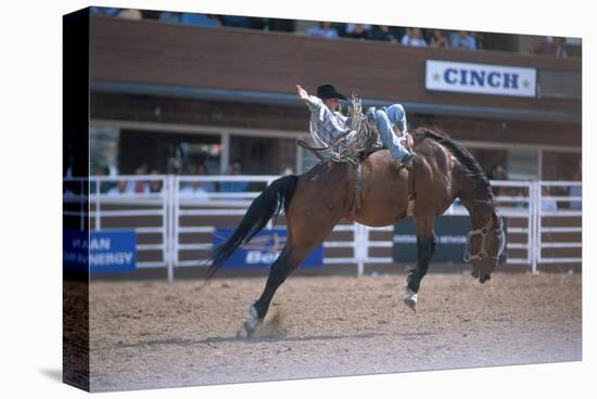 Rodeo at Calgary Stampede, Calgary, Alberta, Canada-null-Stretched Canvas