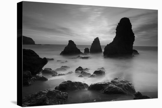 Rodeo Beach I, Black and White-Moises Levy-Premier Image Canvas