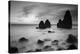 Rodeo Beach II, Black and White-Moises Levy-Premier Image Canvas