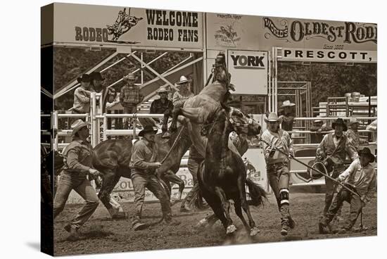 Rodeo Daze-Barry Hart-Stretched Canvas