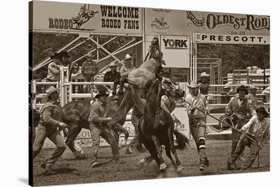 Rodeo Daze-Barry Hart-Stretched Canvas