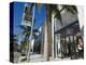 Rodeo Drive, Beverly Hills, California, USA-Ethel Davies-Premier Image Canvas