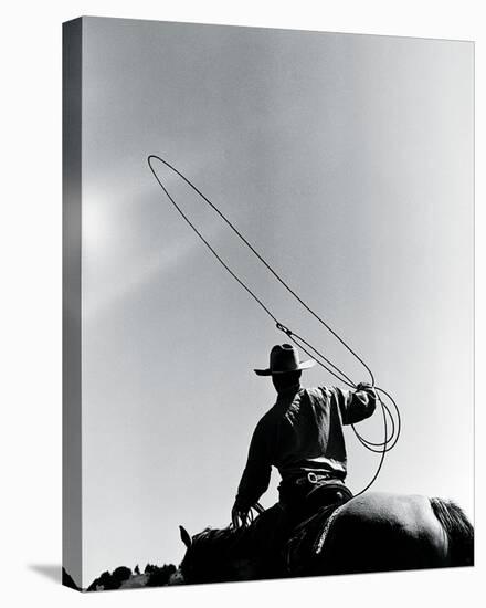 Rodeo III-Andrew Geiger-Stretched Canvas