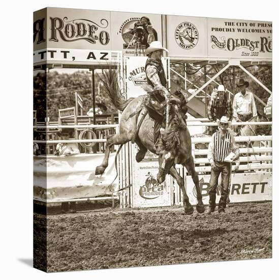 Rodeo-Barry Hart-Stretched Canvas