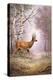 Roe-Deer-Carl Donner-Premier Image Canvas