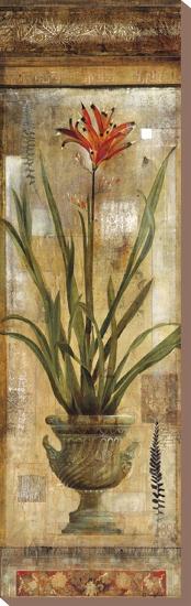 Rojo Botanical I-Douglas-Stretched Canvas
