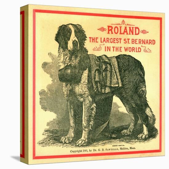 Roland the Largest St. Bernard in the World Trade Card-null-Premier Image Canvas