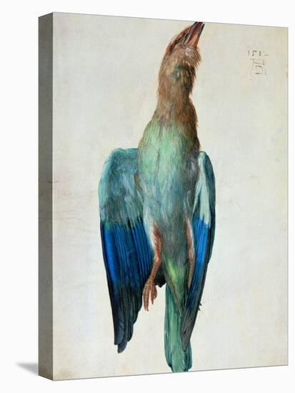 Roller (Bird), 1512-Albrecht Dürer-Premier Image Canvas