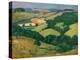 Rolling Country (The Downs below Goodwood) (Oil on Board)-Christopher Richard Wynne Nevinson-Premier Image Canvas
