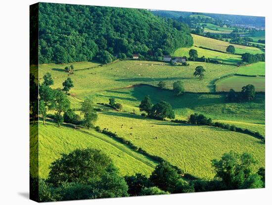 Rolling Countryside-Peter Adams-Premier Image Canvas