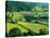 Rolling Countryside-Peter Adams-Premier Image Canvas