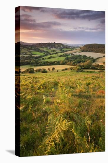 Rolling Dorset Countryside Viewed from Golden Cap, Dorset, England. Summer-Adam Burton-Premier Image Canvas