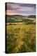 Rolling Dorset Countryside Viewed from Golden Cap, Dorset, England. Summer-Adam Burton-Premier Image Canvas