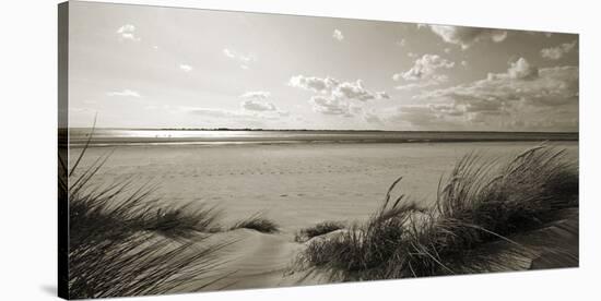 Rolling Dunes II-Ben James-Stretched Canvas