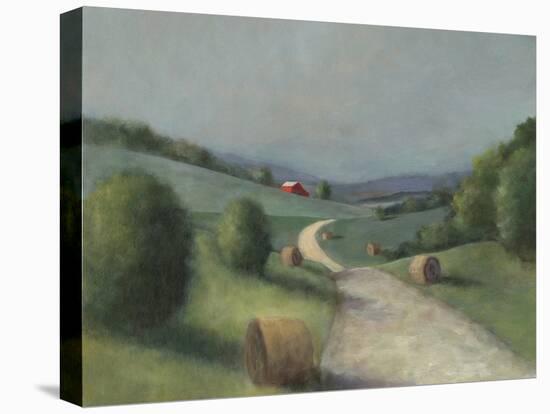 Rolling Farm I-David Swanagin-Stretched Canvas