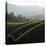 Rolling Fog and Rolling Hills-Lance Kuehne-Premier Image Canvas