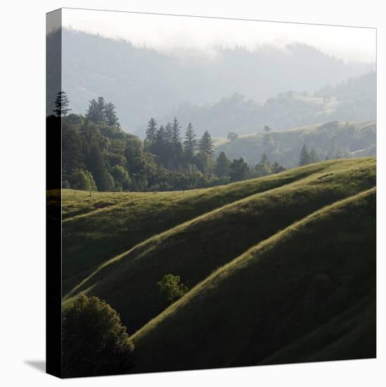 Rolling Fog and Rolling Hills-Lance Kuehne-Premier Image Canvas