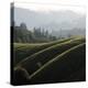 Rolling Fog and Rolling Hills-Lance Kuehne-Premier Image Canvas